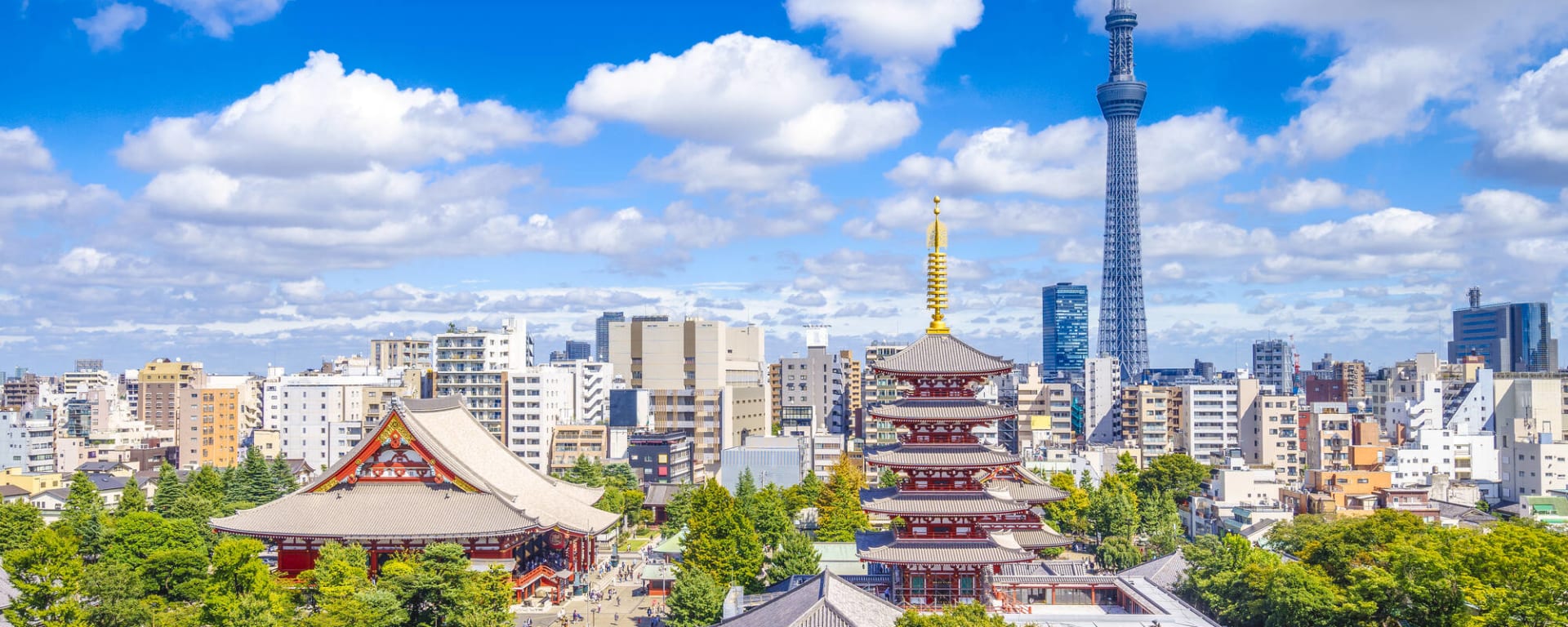 Das Land der Geishas ohne Flug ab Tokio: Japan Tokio Cityview Asakusa Skytree