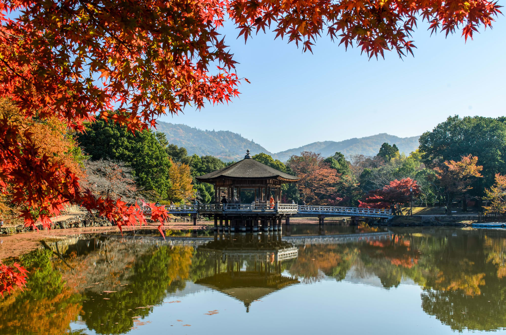 Das Land der Geishas ohne Flug ab Tokio: Japan Nara Park