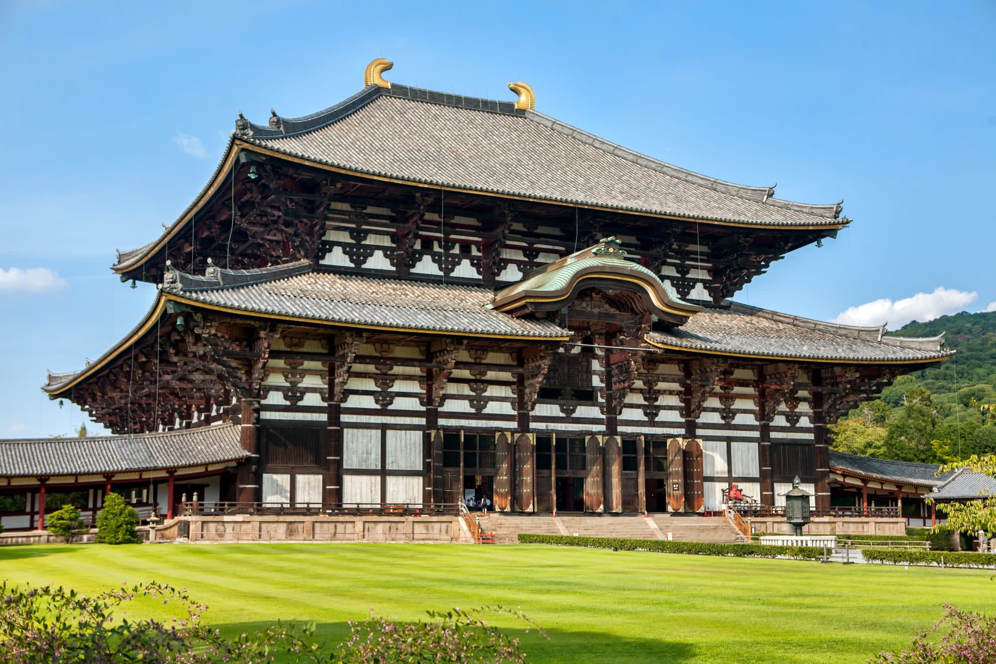 Das Land der Geishas ohne Flug ab Tokio: Japan Nara Todaiji Tempel