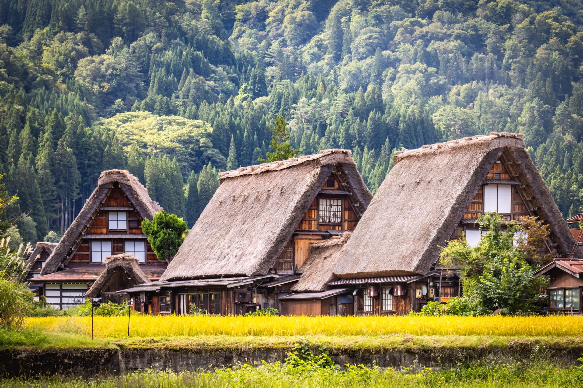 Das Land der Geishas ohne Flug ab Tokio: Japan Shirakawago Häuser
