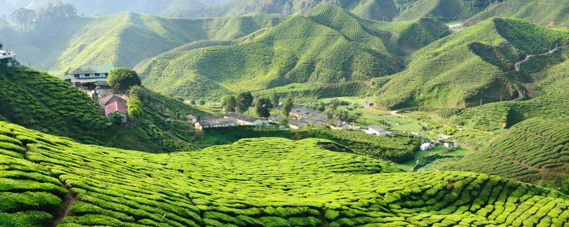 Malaysia Deluxe - Option II The Datai ab Kuala Lumpur: Malaysia Cameron Highlands