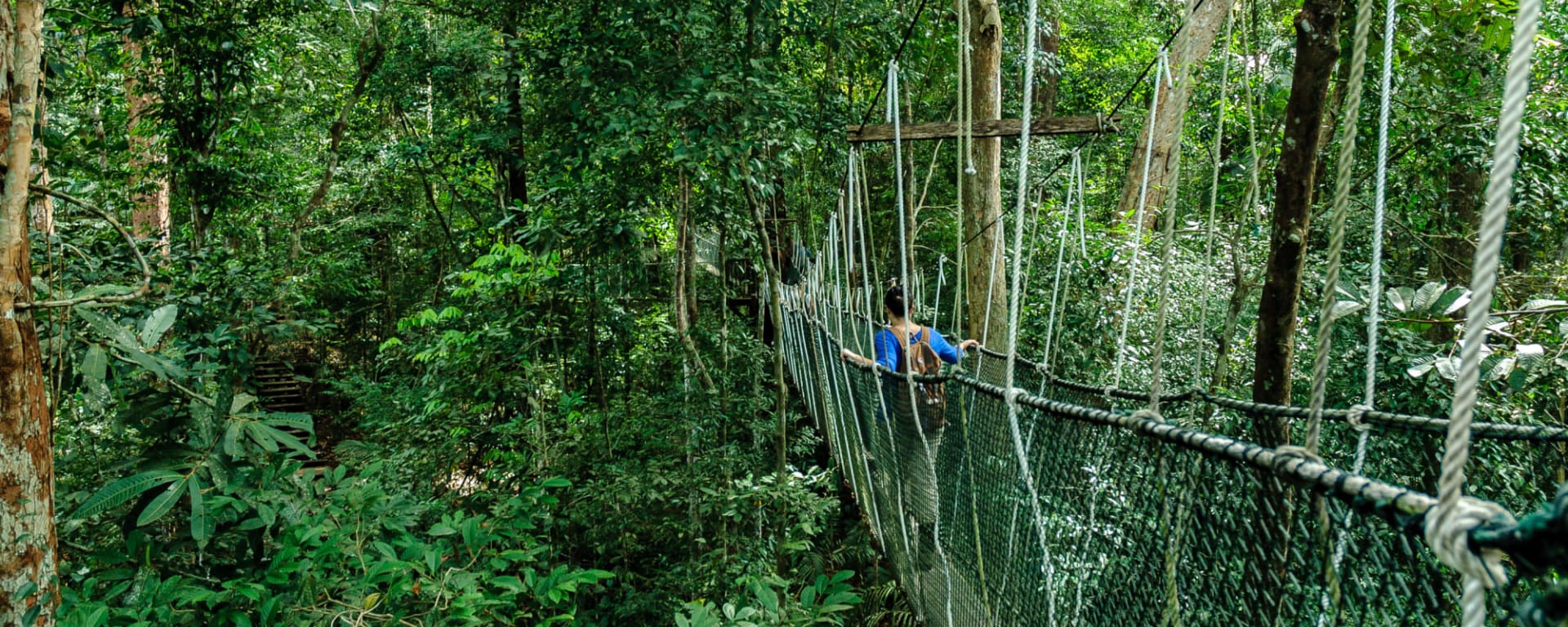 Taman Negara, Eigenanreise: Malaysia Taman Negara