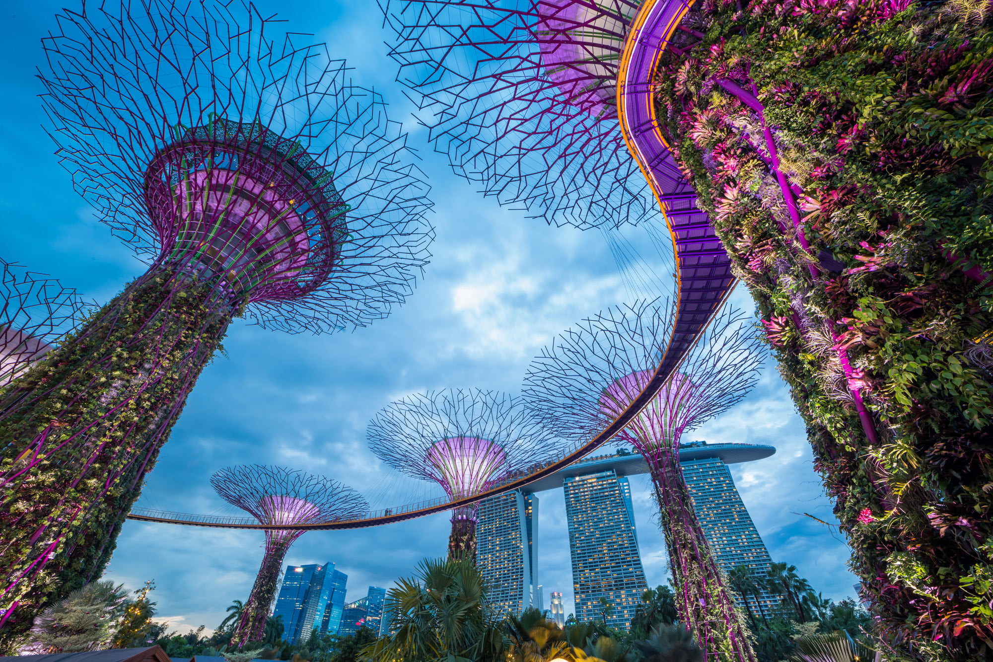 Singapur & Inseltraum Tioman: Singapur Gardens by the Bay