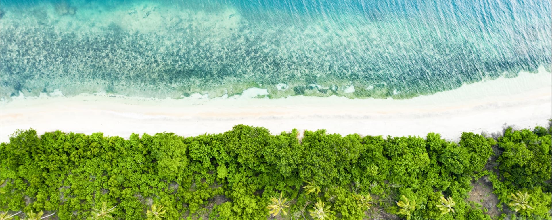 Inselhüpfen rund um Bali ab Süd-Bali: Indonesien Lombok Strand