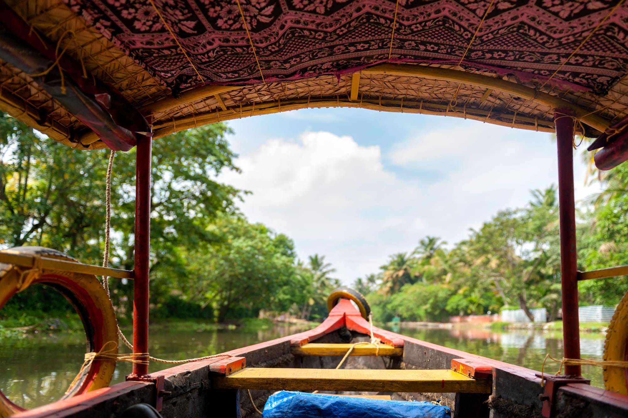 Die Backwaters von Kerala ab Kerala | Malabarküste | Kochi: Indien Backwaters Blick vom Boot