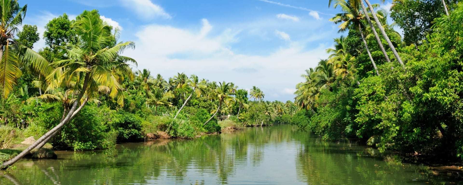 Die Backwaters von Kerala ab Kerala | Malabarküste | Kochi: Indien Kerala Backwaters