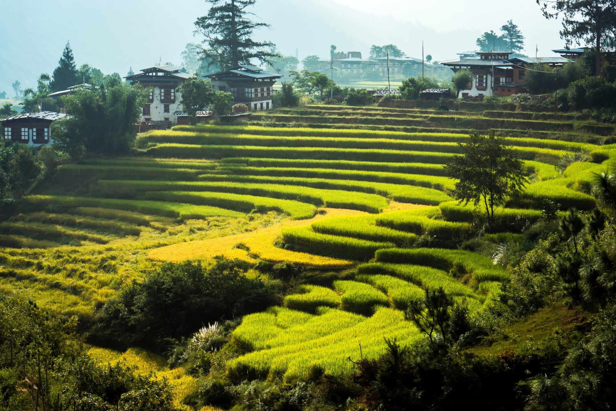 Touching Sense - Bhutan erleben mit Six Senses ab Paro: facilities: Bhutan Six Senses Punakha