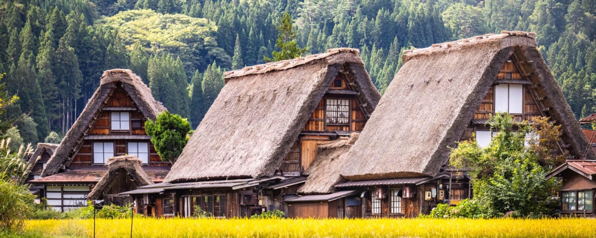 Das Land der Geishas inkl. Flug ab Tokio: Japan Shirakawago Häuser