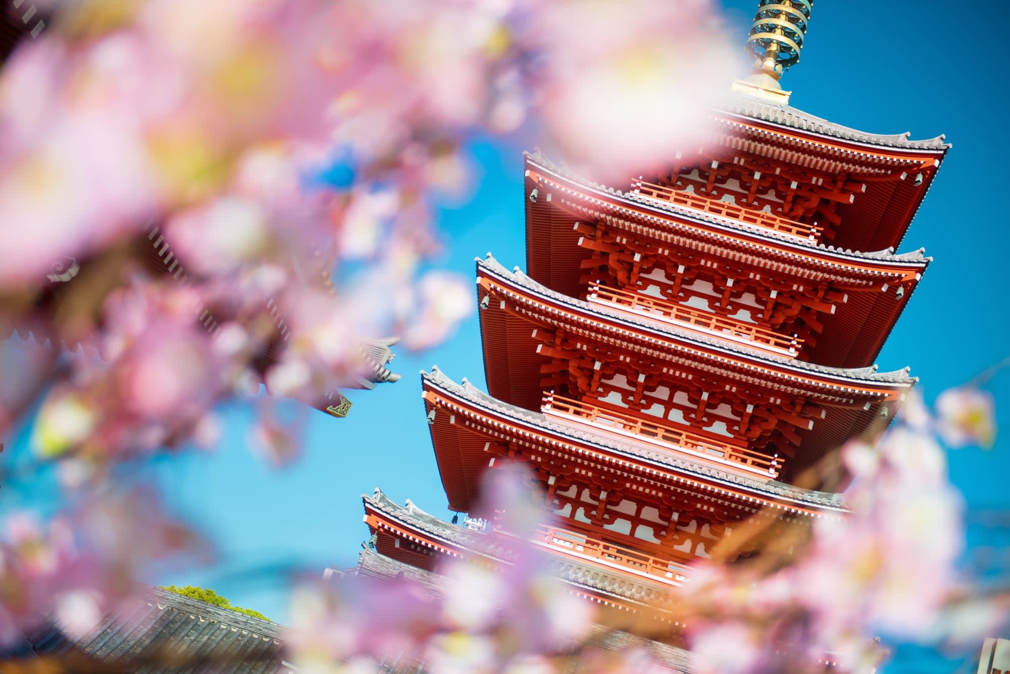 Das Land der Geishas inkl. Flug ab Tokio: Japan Tokio Sensoji Tempel