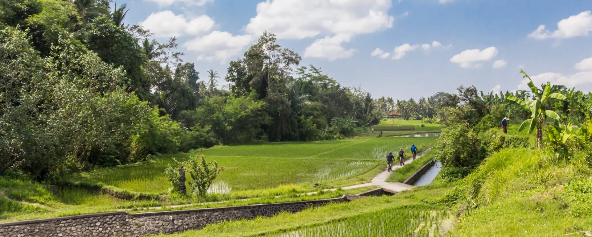 Bike Bali - Die Götterinsel mit dem E-Bike ab Zentral-Bali | Ubud: Indonesien Bali Biketour