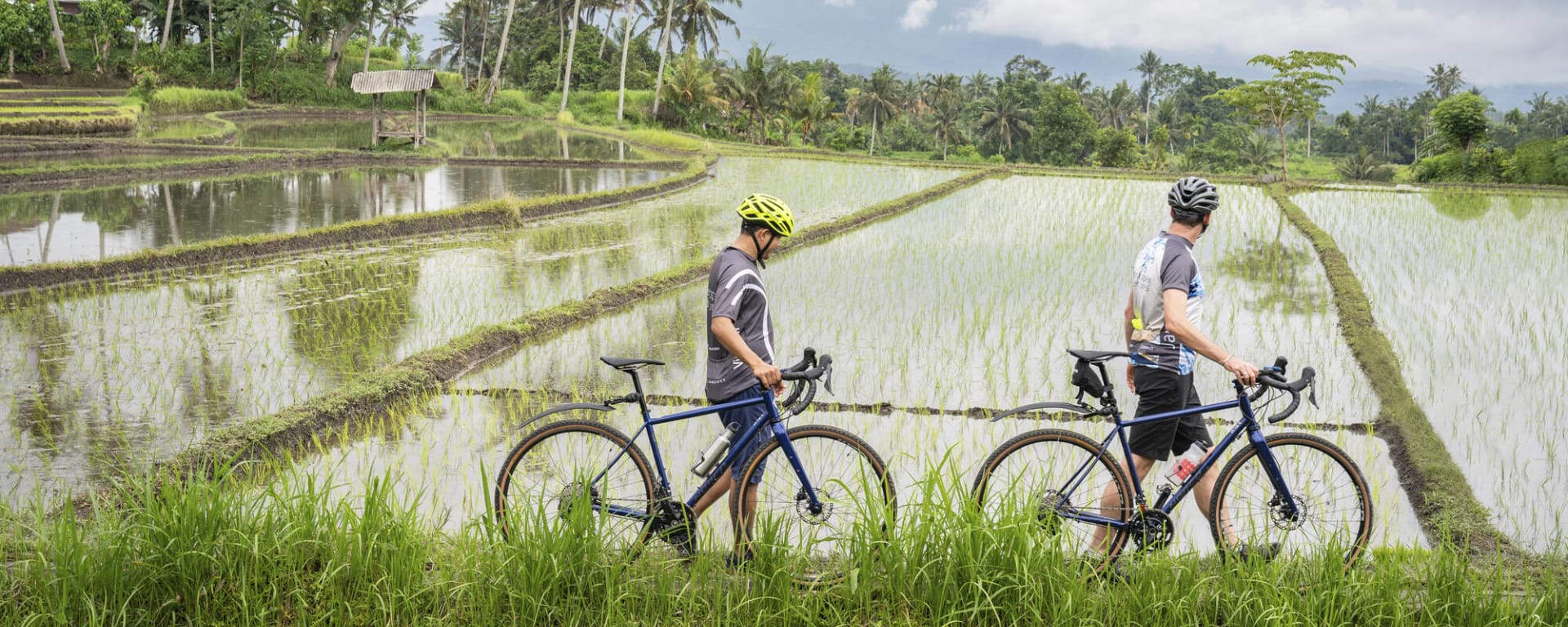 Bike Bali - Die Götterinsel mit dem E-Bike ab Zentral-Bali | Ubud: Indonesien Bike Bali