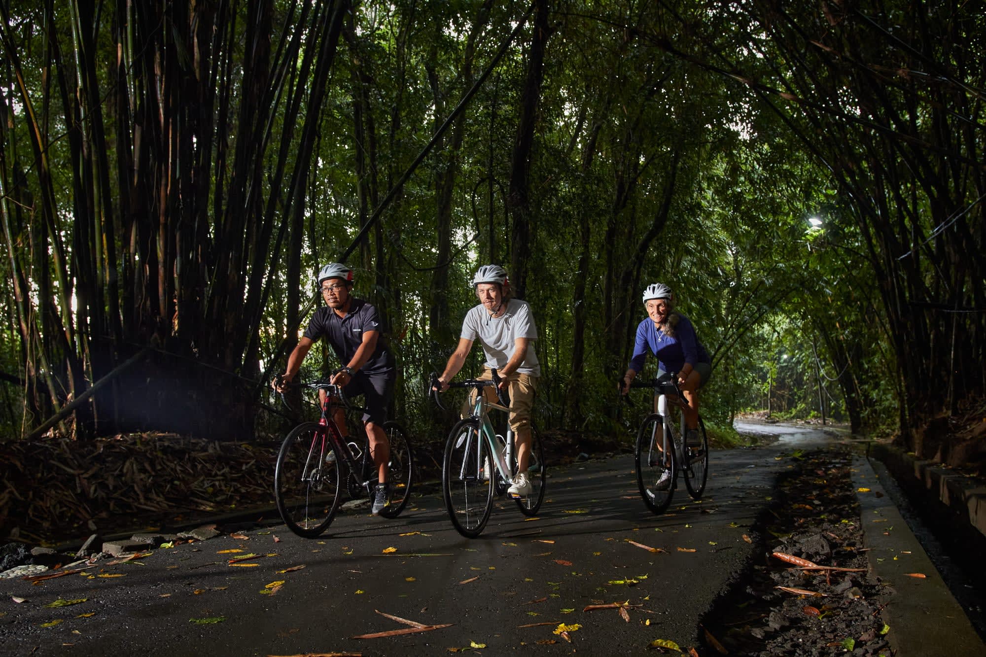 Bike Bali - Die Götterinsel mit dem E-Bike ab Zentral-Bali | Ubud: Indonesien Bike Bali