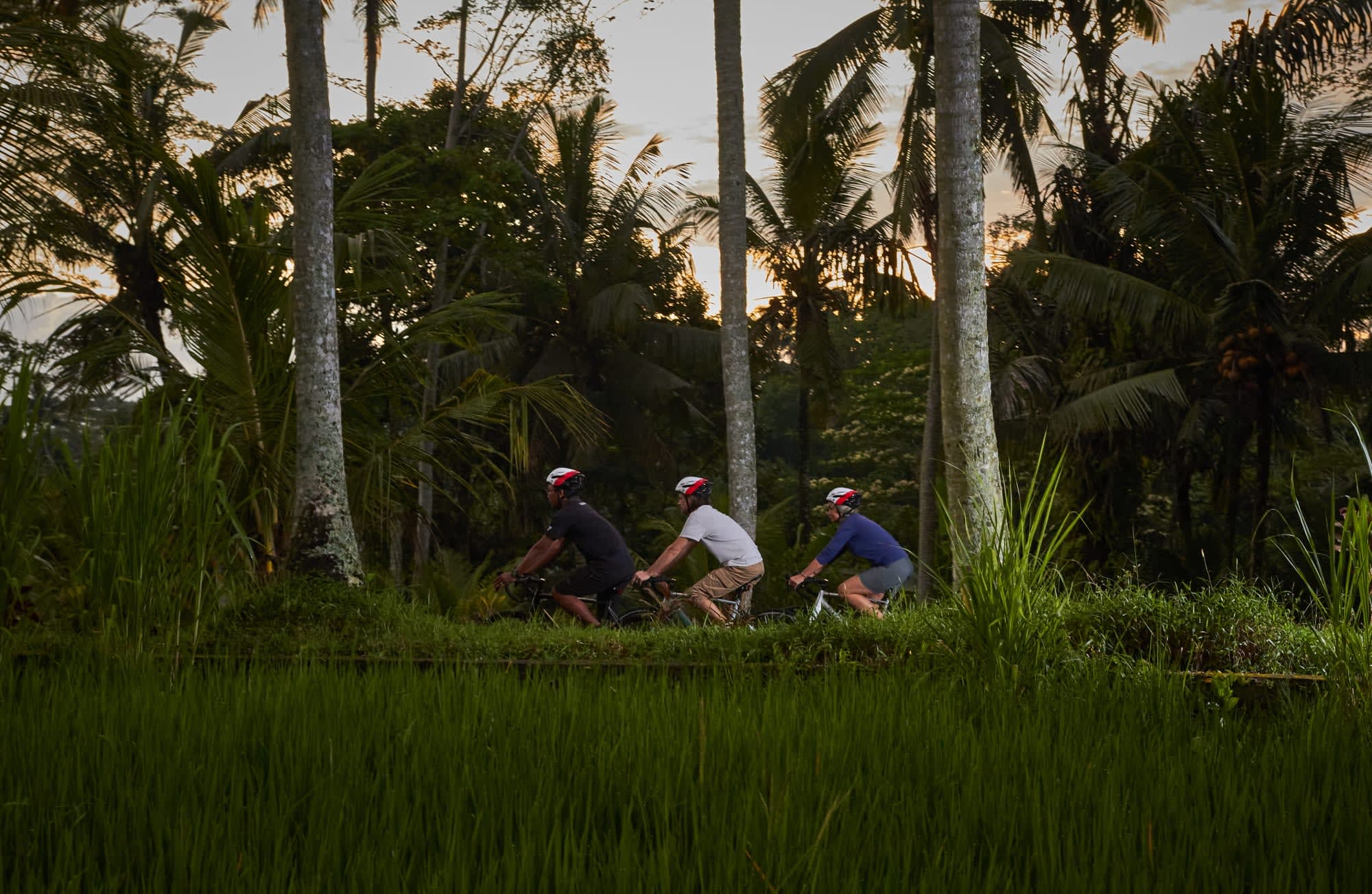 Bike Bali - Die Götterinsel mit dem E-Bike ab Zentral-Bali | Ubud: Indonesien Bike Bali
