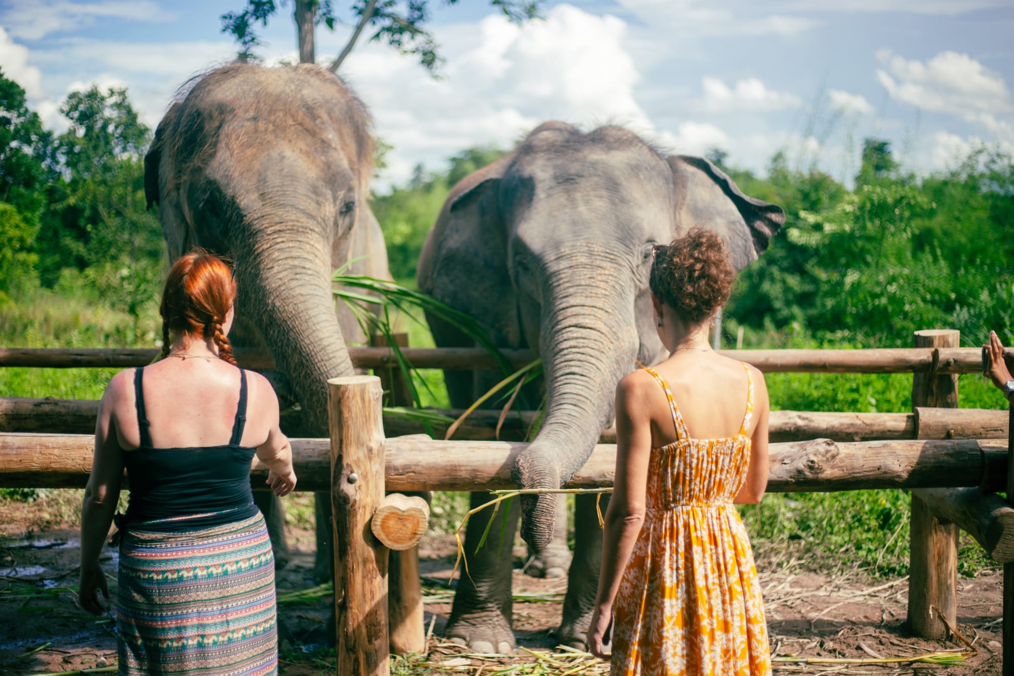 Bush Camp Elephant Safari Chiang Mai 2 Tage: Thailand Chiang Mai The Bush Camp Safari