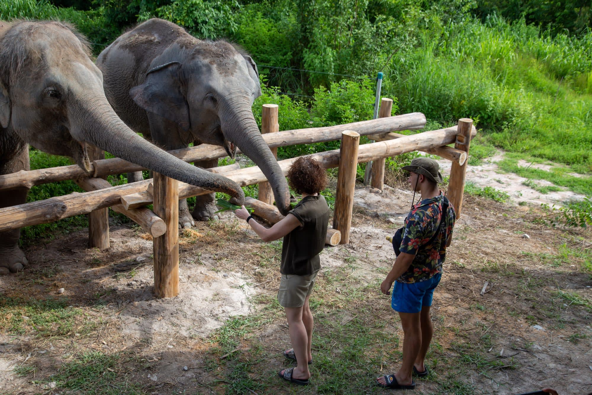 Bush Camp Elephant Safari Chiang Mai 2 Tage: Thailand Chiang Mai The Bush Camp Safari