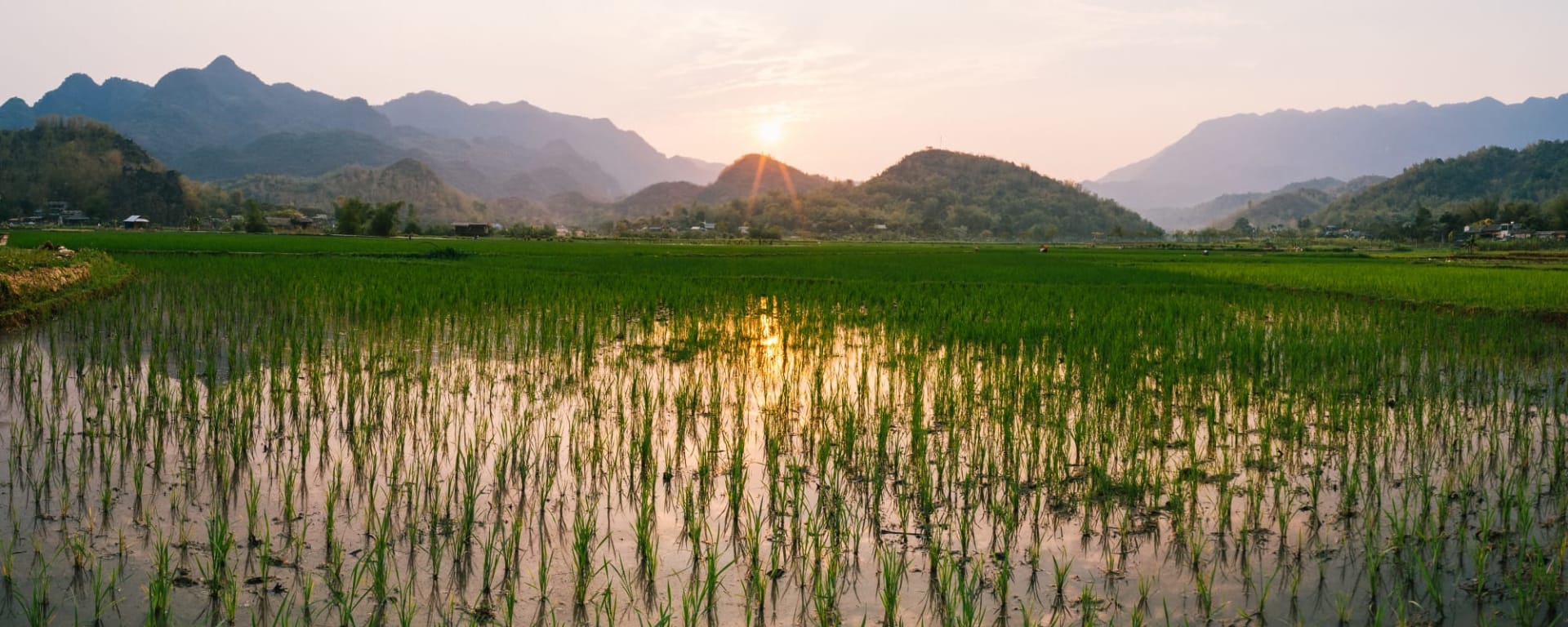 Mai Chau Deluxe - Avana Retreat ab Hanoi: Vietnam Mai Chau Reisfeld