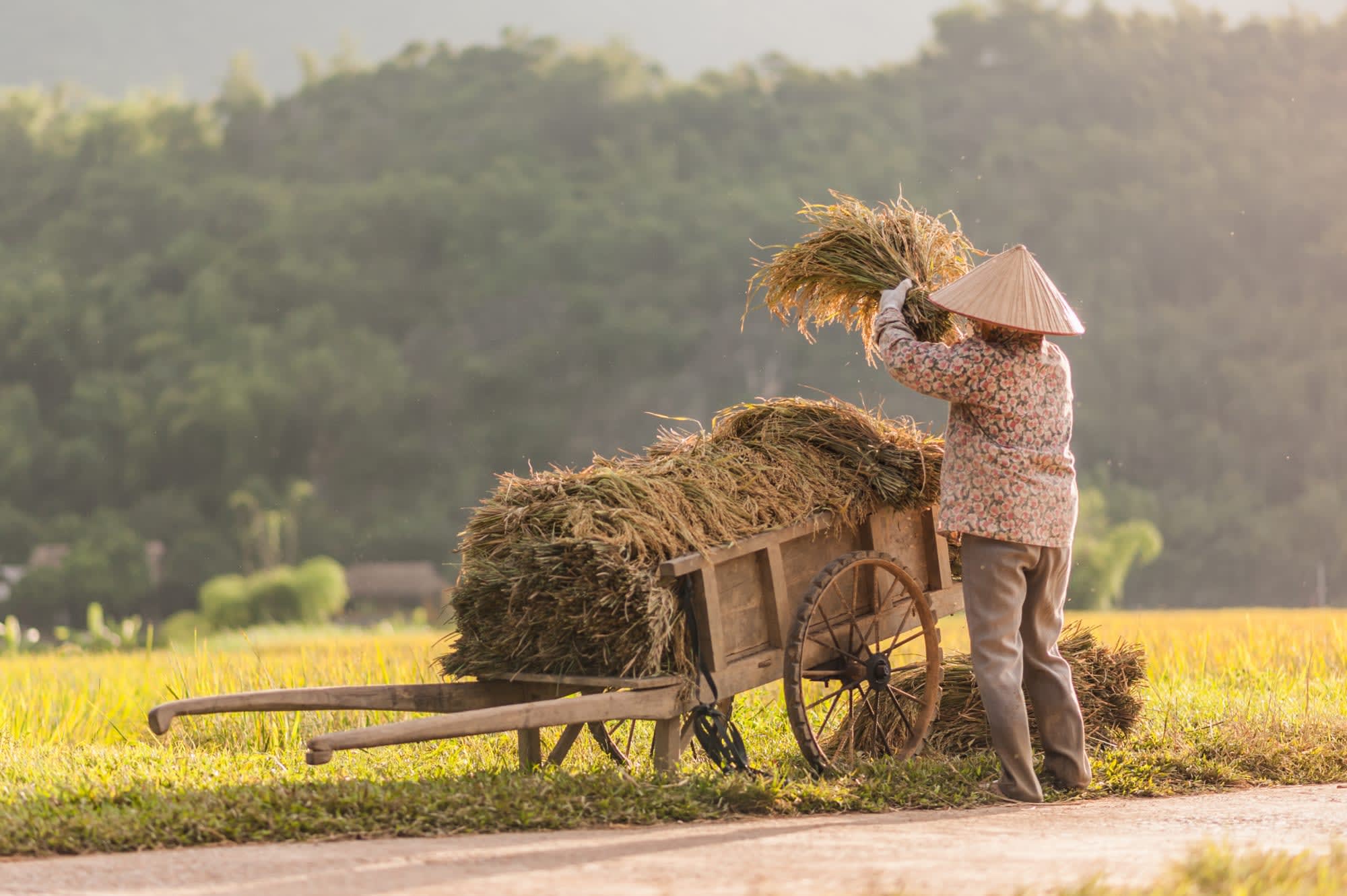 Mai Chau Deluxe - Avana Retreat ab Hanoi: Vietnam Mai Chau Bauer