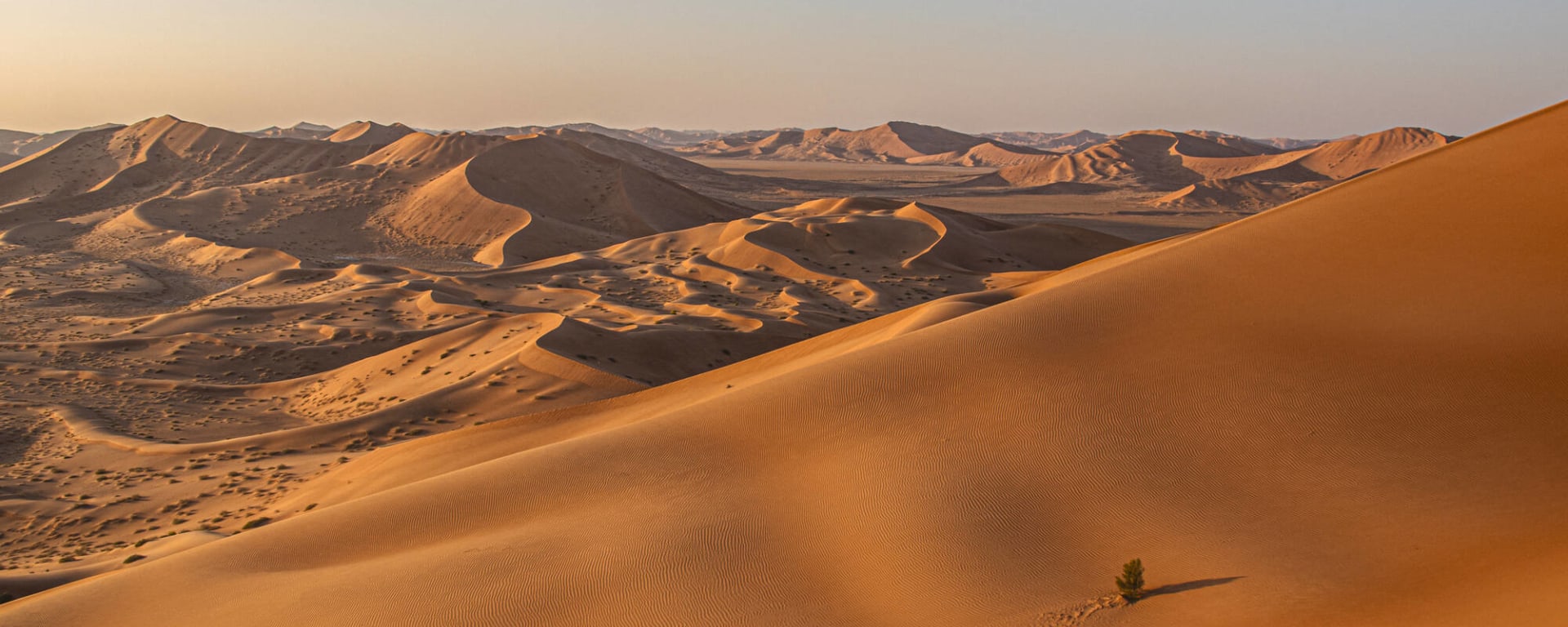 Von Muscat nach Salalah: Omans bestgehütetes Geheimnis: Oman Rub al Khali