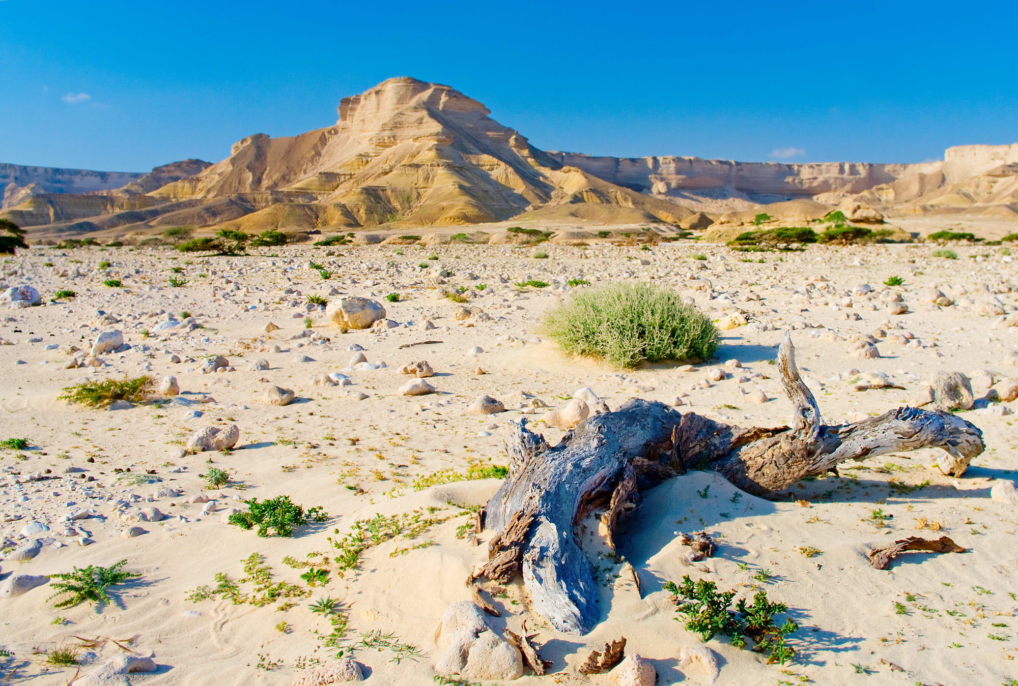 Von Muscat nach Salalah: Omans bestgehütetes Geheimnis: Oman Wadi Shuwaymiyah