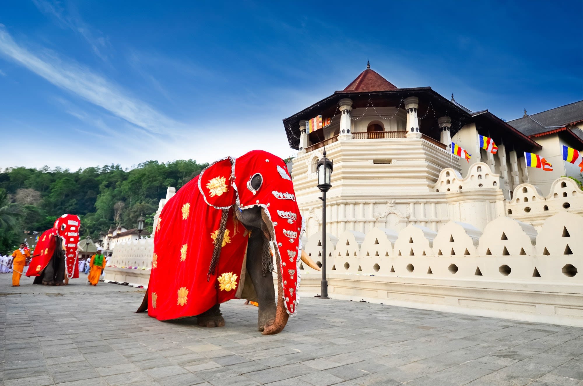 Naturerlebnis Sri Lanka ab Colombo: Sri Lanka Kandy Zahntempel