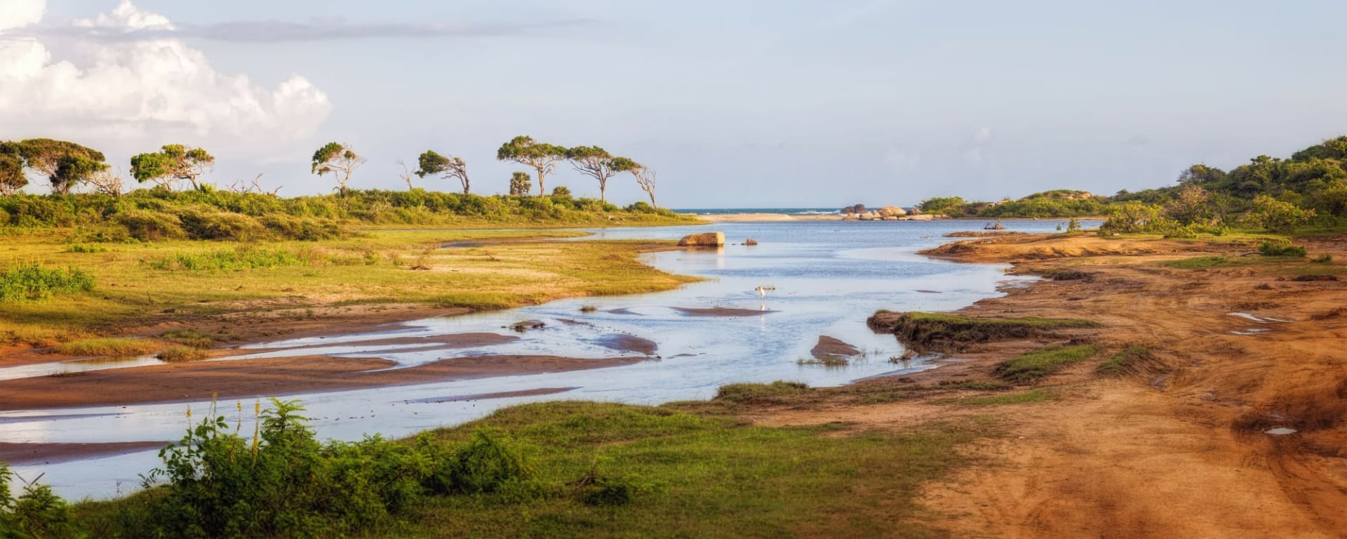Hochland & Wildnis erleben ab Colombo: Sri Lanka Yala Nationalpark