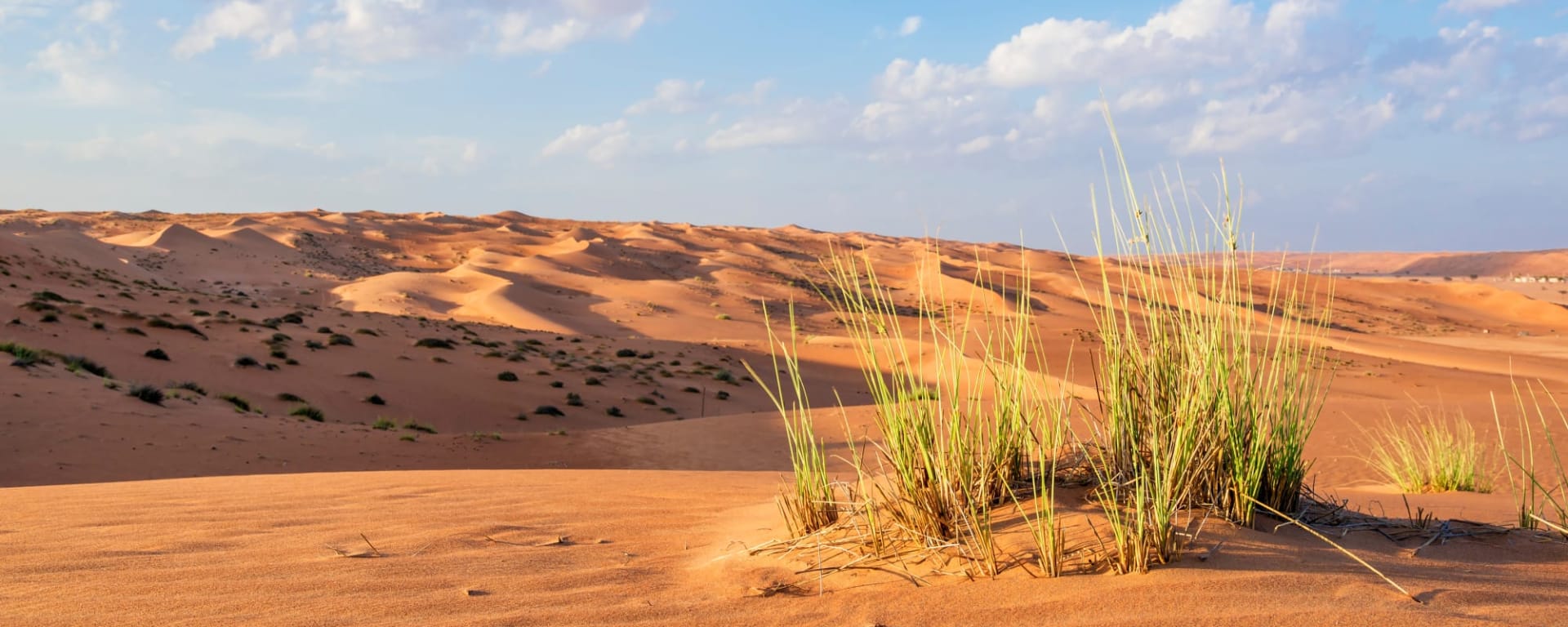 Authentischer Oman ab Muscat: Oman Wahiba Sands