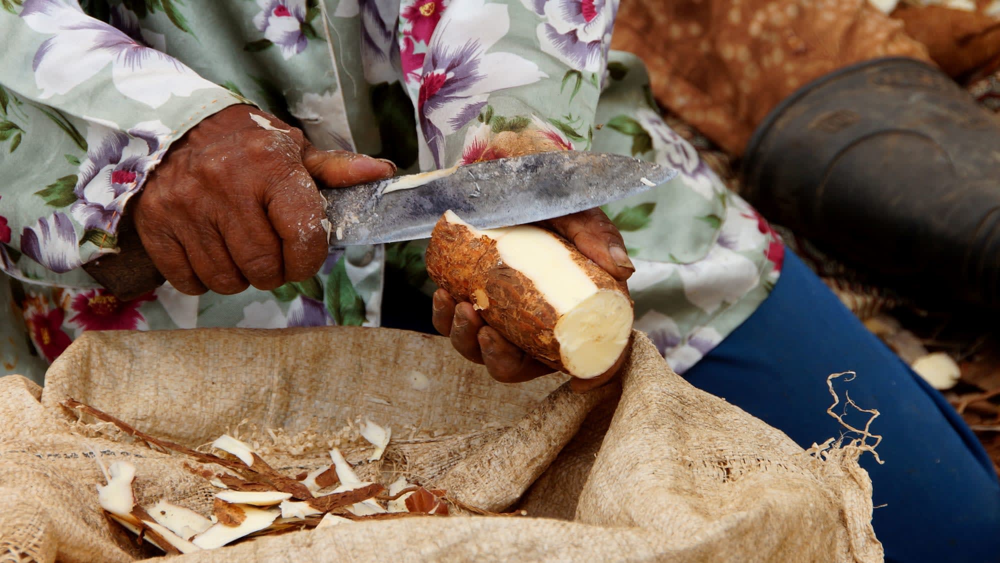 Bali mal anders ab Süd-Bali: Indonesien Bali Maniok