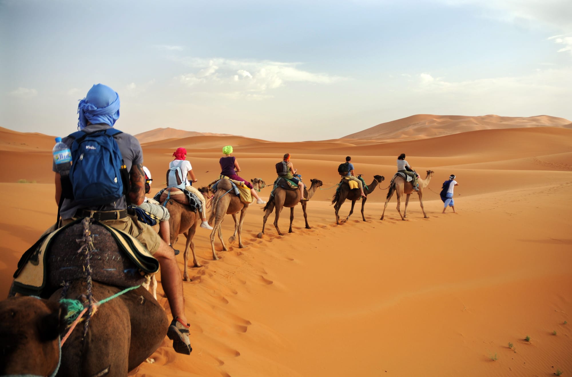 Offroadtour: Abenteuerlicher Süden ab Marrakesch: Marokko Wüste Dromedare