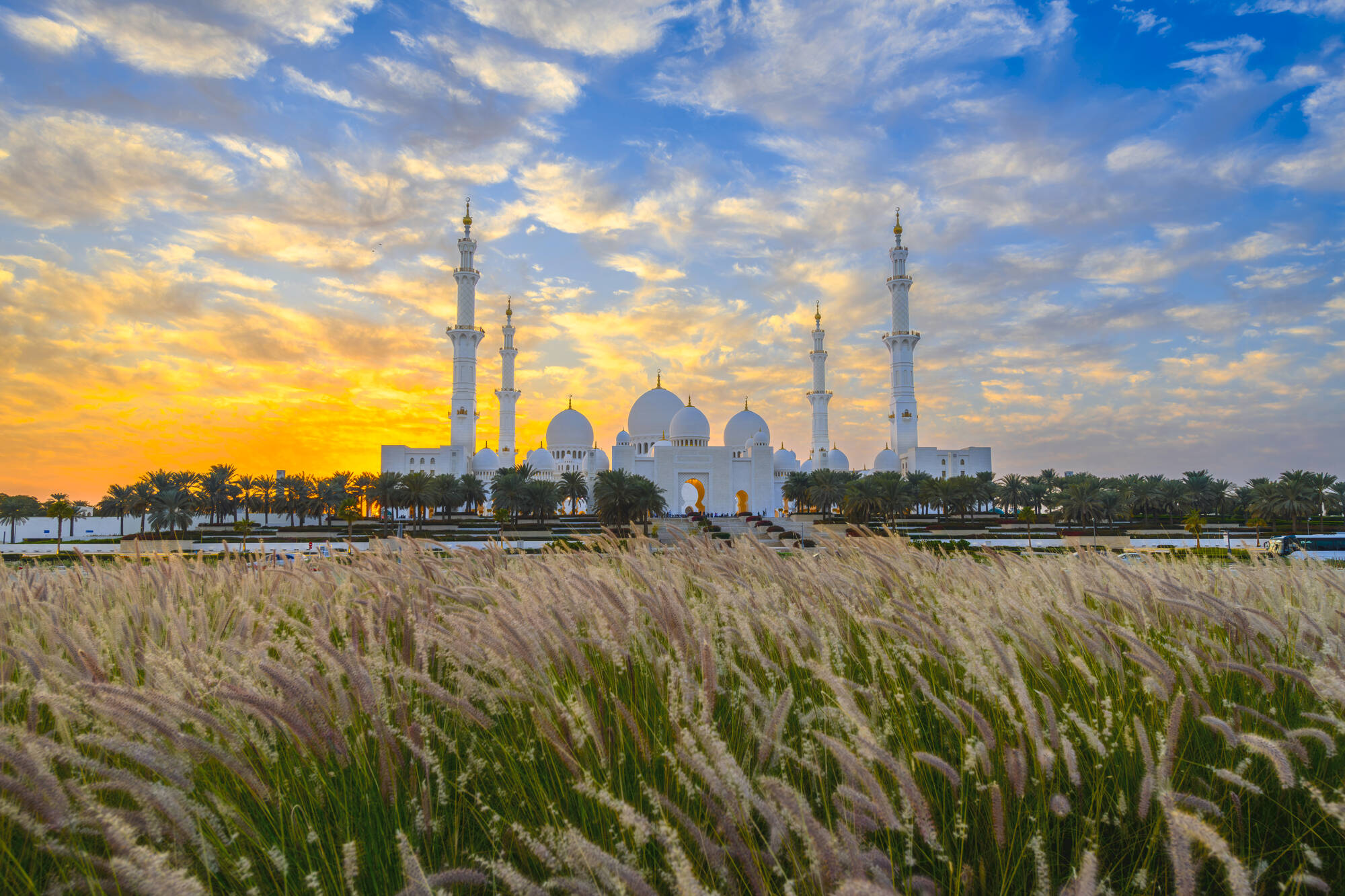 Emirate erleben ab Dubai: VAE Abu Dhabi Sheikh Zayed Moschee