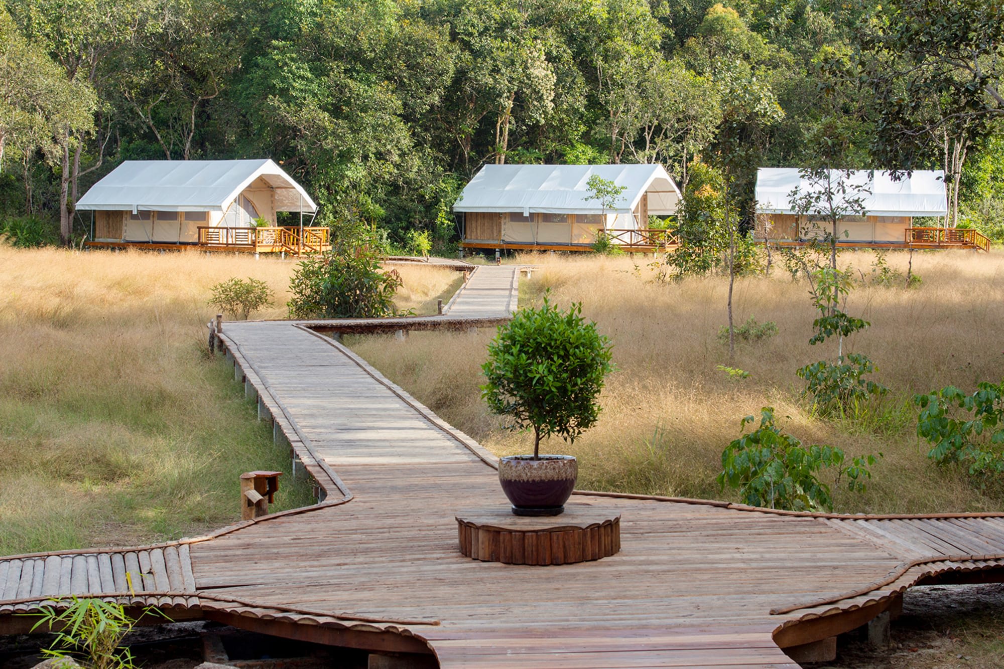 Kambodscha mal anders ab Siem Reap: Kambodscha Cardamom Tented Camp