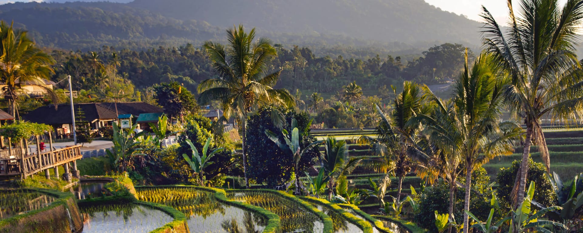 Balis unberührter Norden ab Süd-Bali: Indonesien Bali Jatiluwih