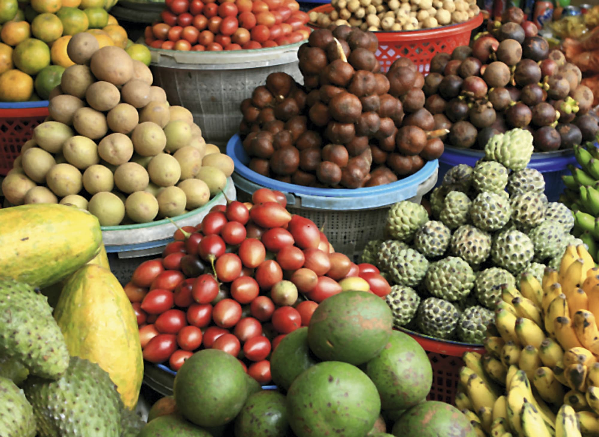 Balis unberührter Norden ab Süd-Bali: Indonesien Bali Markt Fruechte