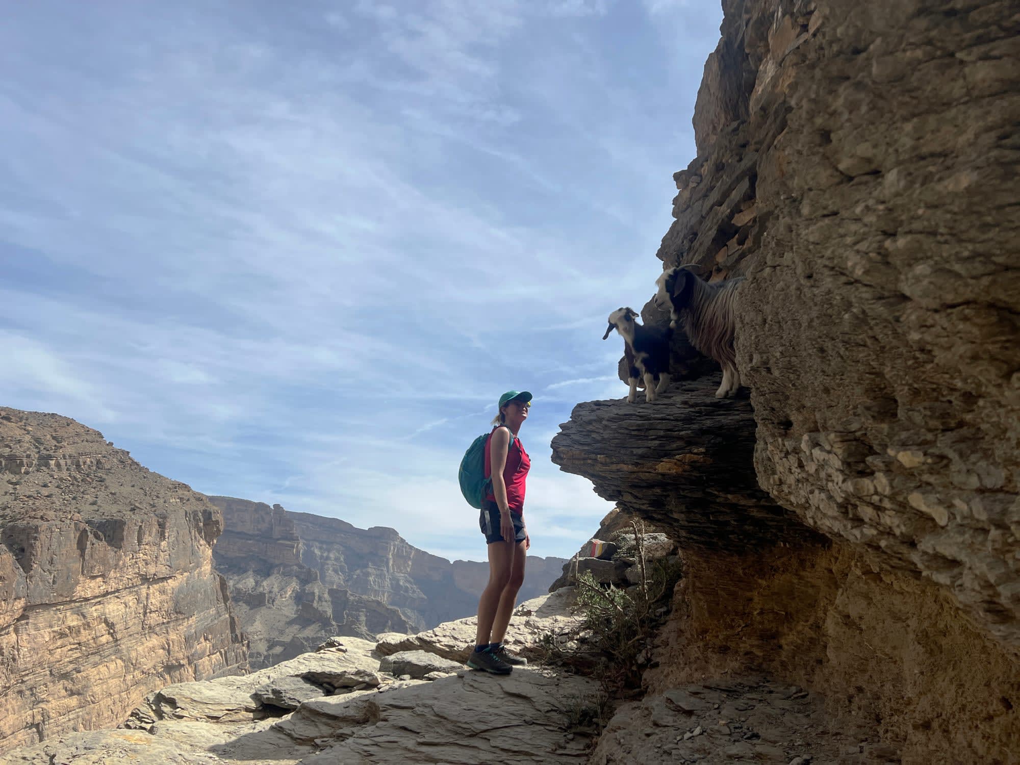 Wandern im Sultanat ab Muscat: Oman Jebel Shams Balcony Walk