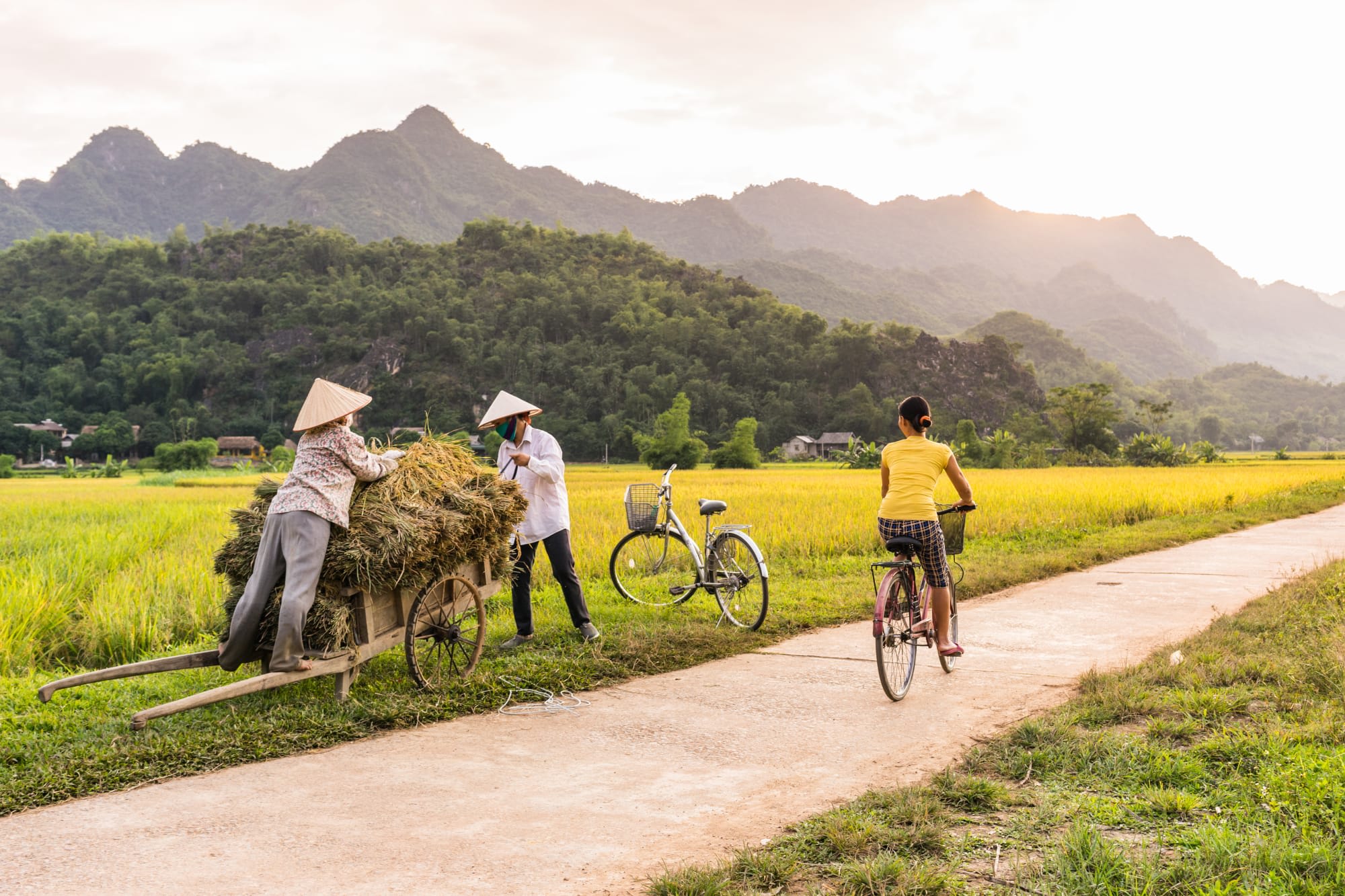 Vietnam Aktiv: Radfahren, Wandern und Paddeln ab Danang: Vietnam Mai Chau Fahrrad