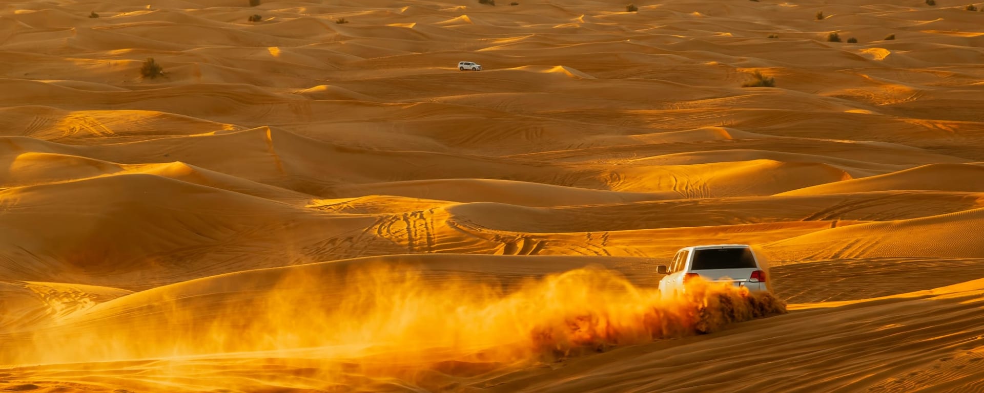 Expedition Wüste: Nord ab Muscat: Oman Rub al Khali Wüste Offroad