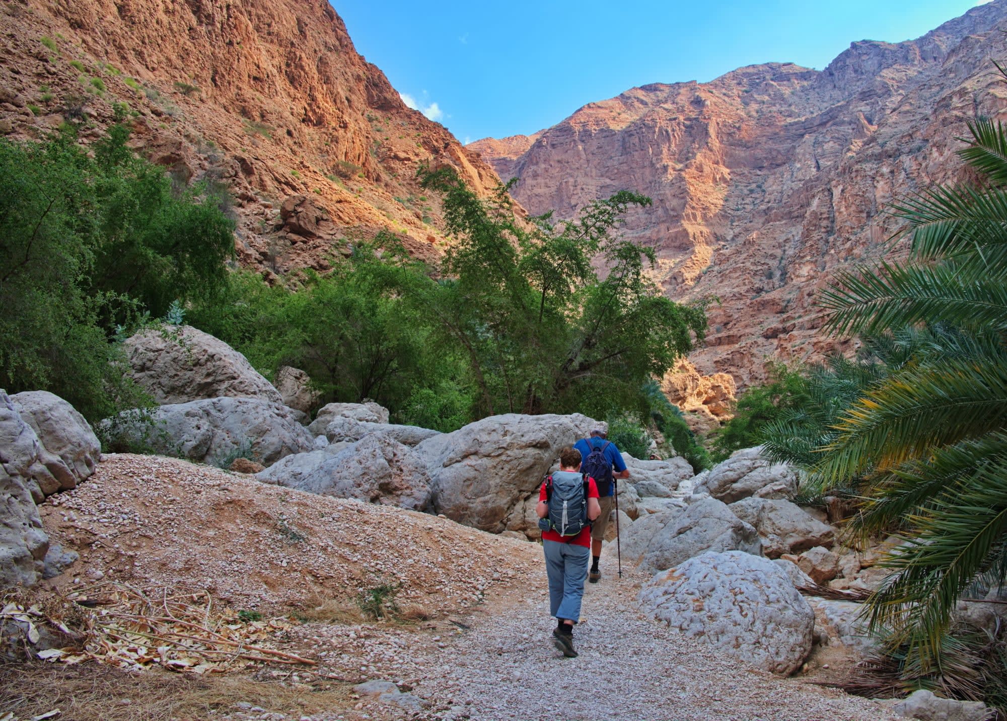 Oman mit allen Sinnen ab Muscat: Oman Wadi Shab