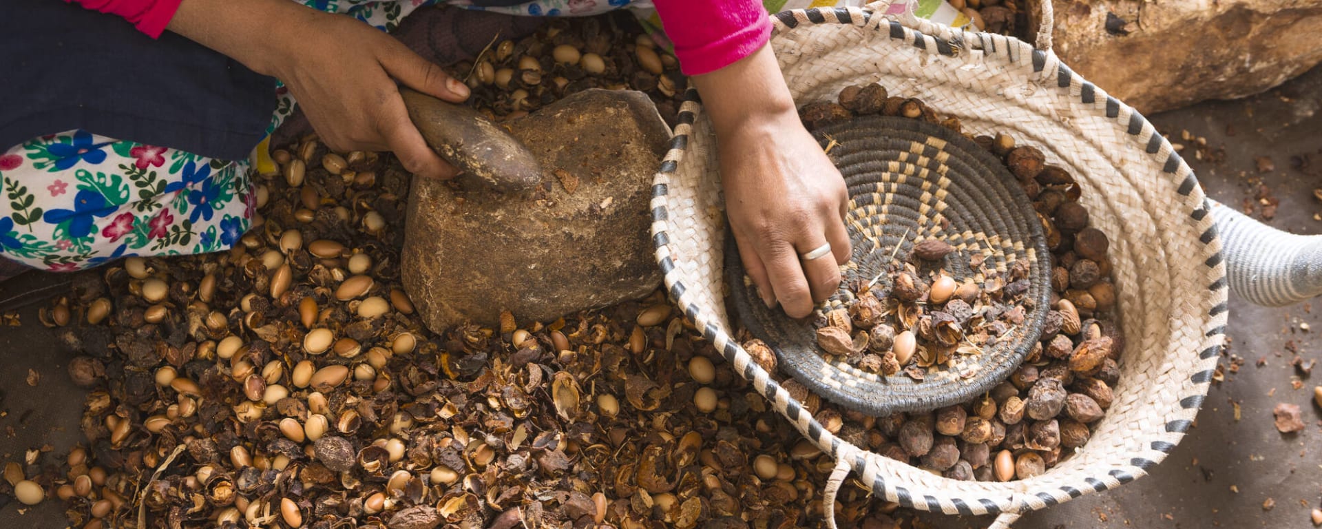 Argan, Wein & Safran ab Marrakesch: Marokko Herstellung von Arganöl