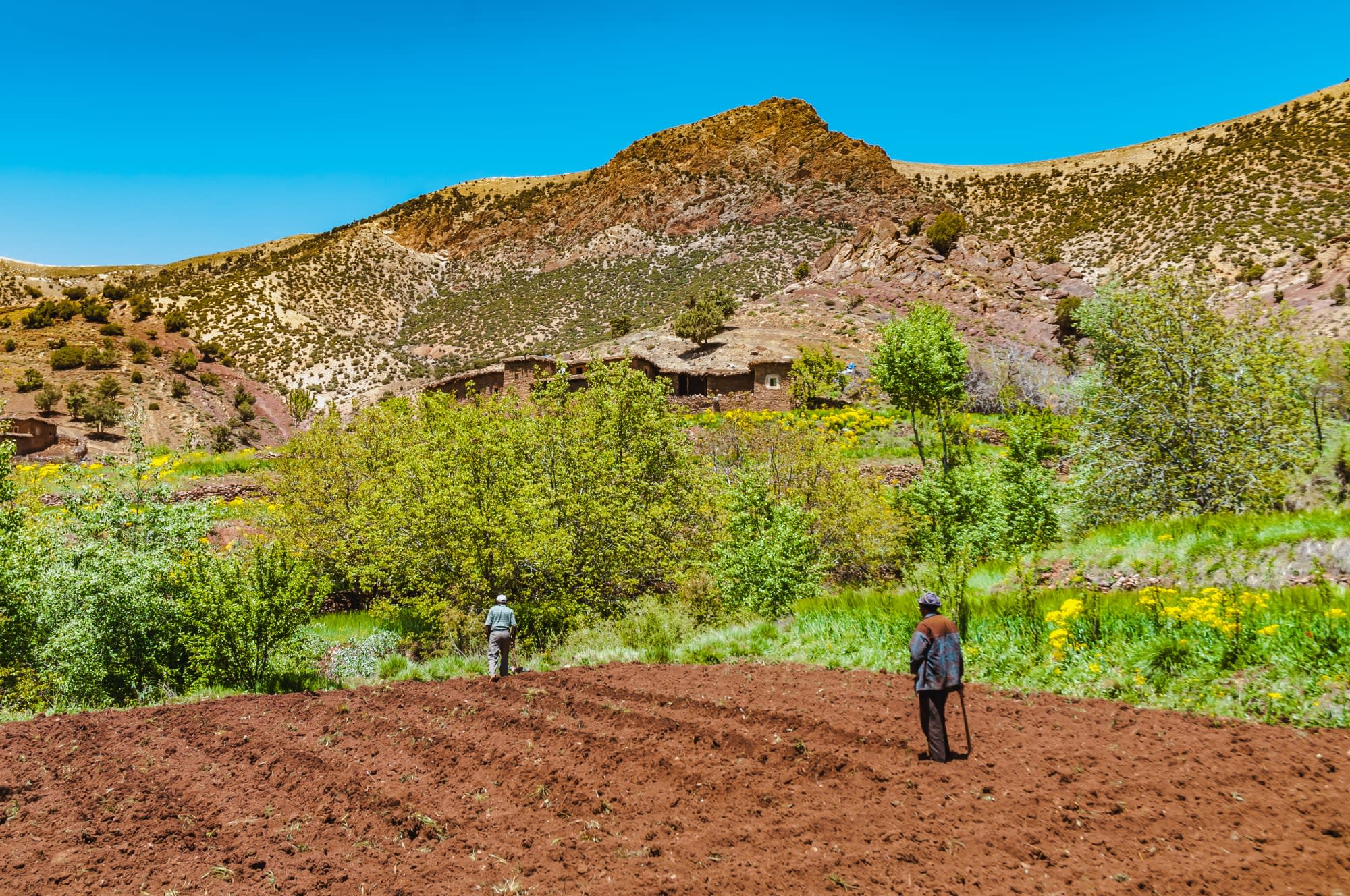 Das Tal der Glücklichen ab Marrakesch: Marokko Ait Bougmez