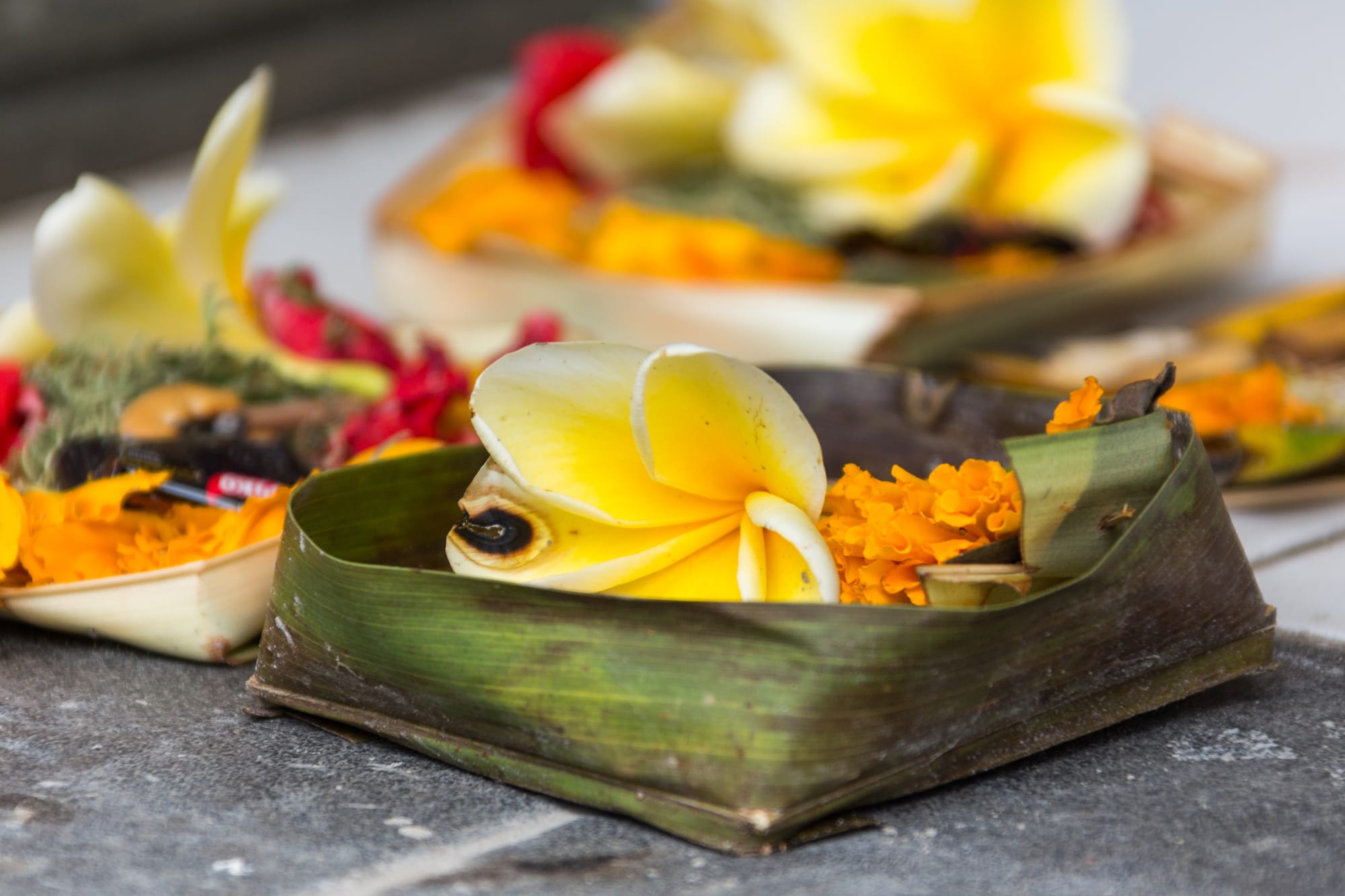 Natur & Kultur Tabanan ab Süd-Bali: Indonesien Bali Opferschale