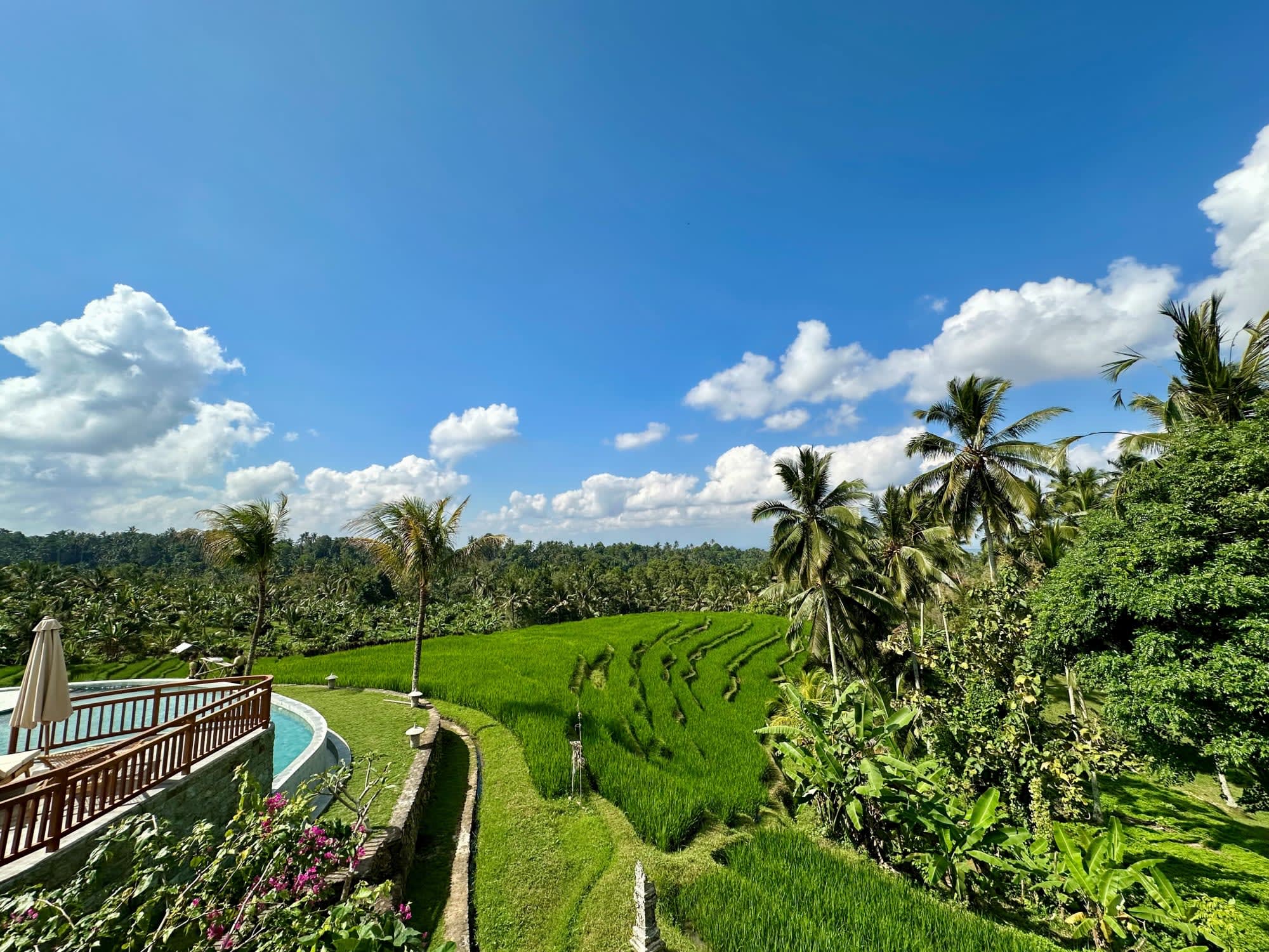 Natur & Kultur Tabanan ab Süd-Bali: exterior: Indonesien Bali Puri Dajuma Terrace