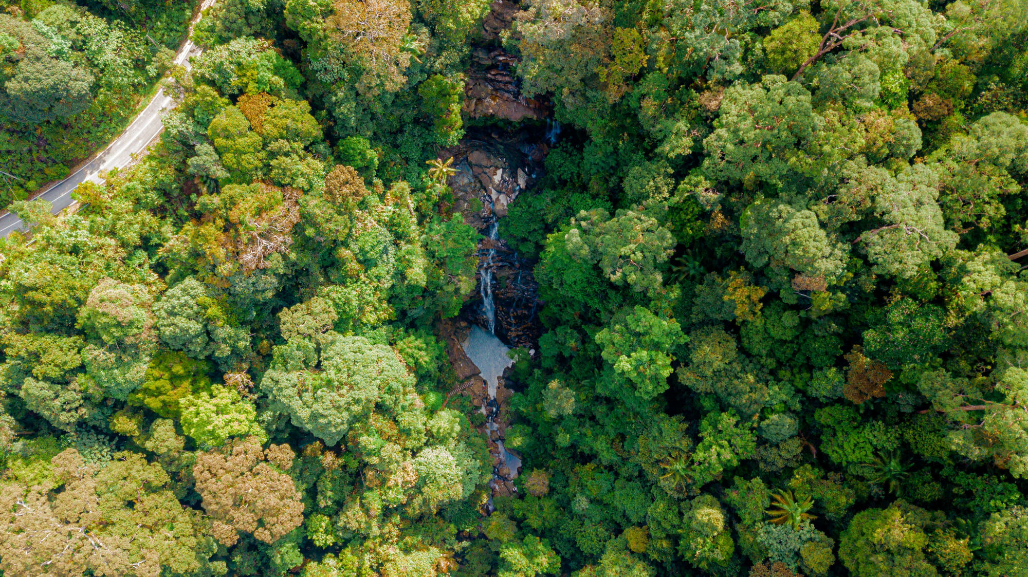 Malaysia mal anders ab Kuala Lumpur: Malaysia Rompin Nationalpark