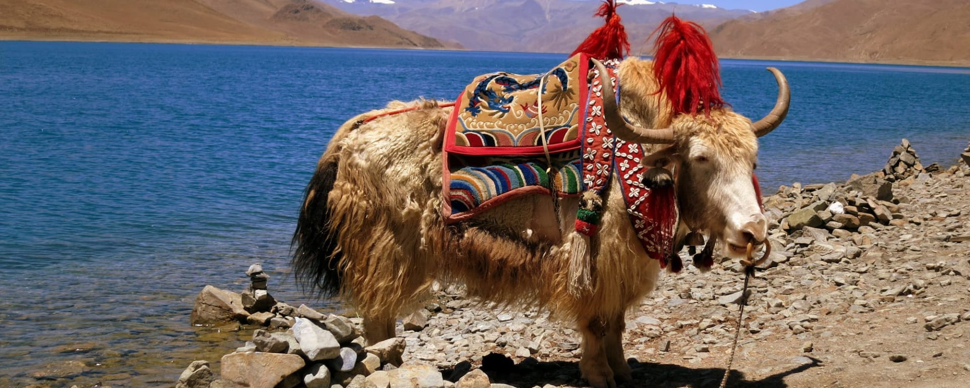 Das geheimnisvolle Dach der Welt ab Peking: China Tibet Yak