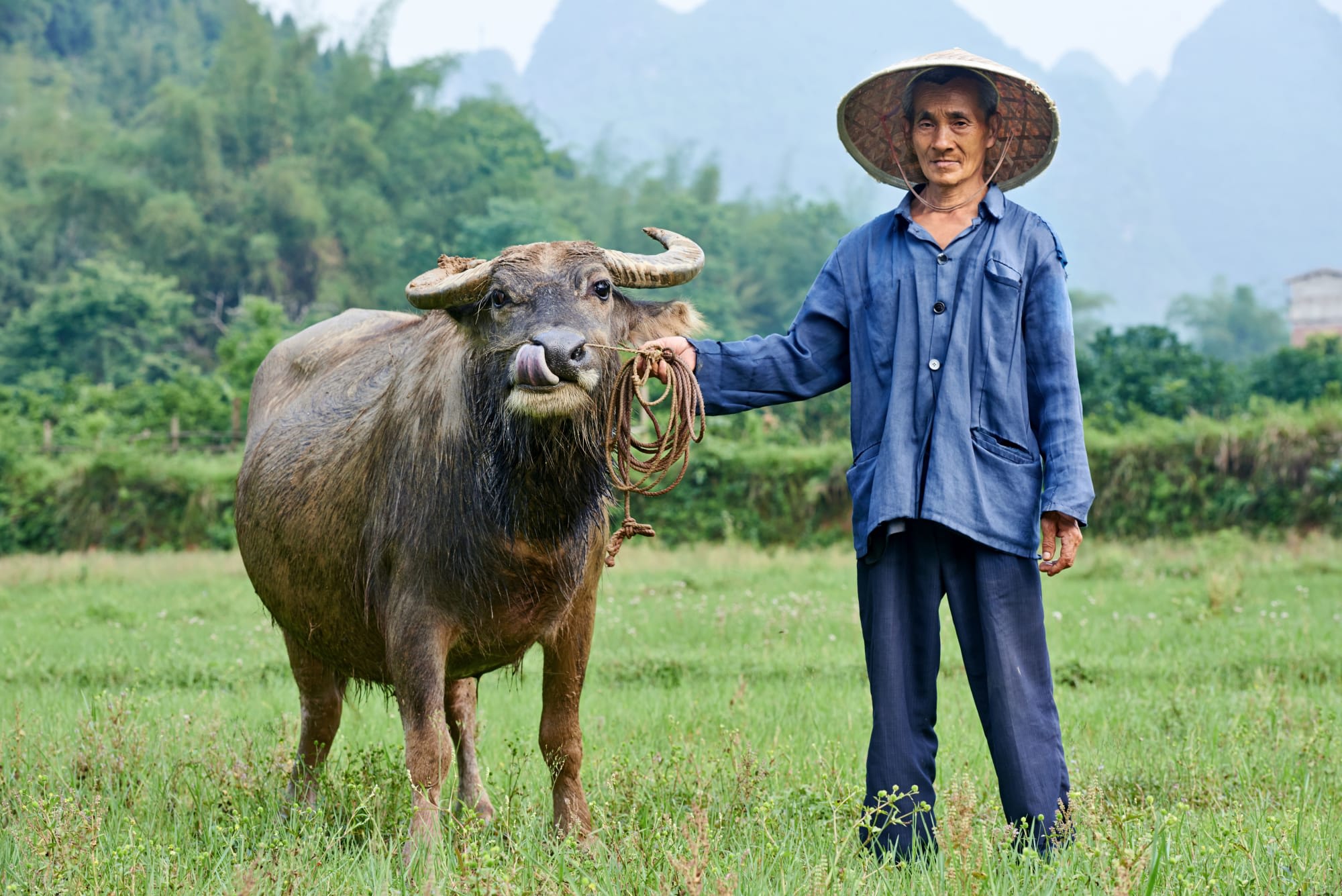 Reise zur Avatar-Märchenlandschaft ab Shanghai: China Farmer