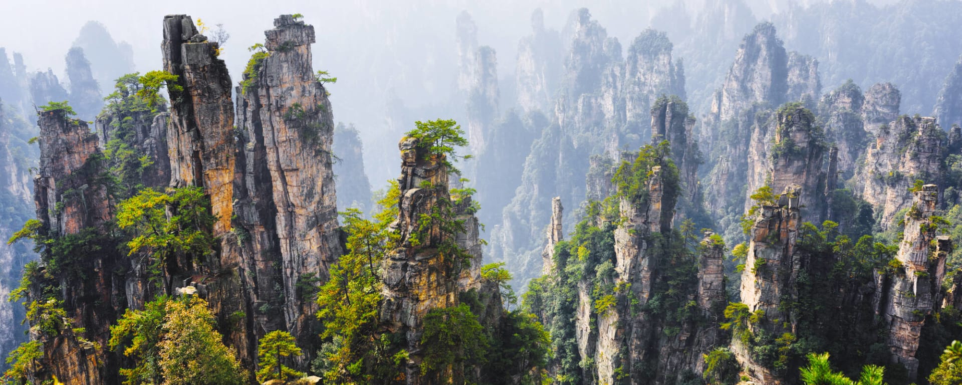 Reise zur Avatar-Märchenlandschaft ab Shanghai: China Zhangjiajie Nationalpark