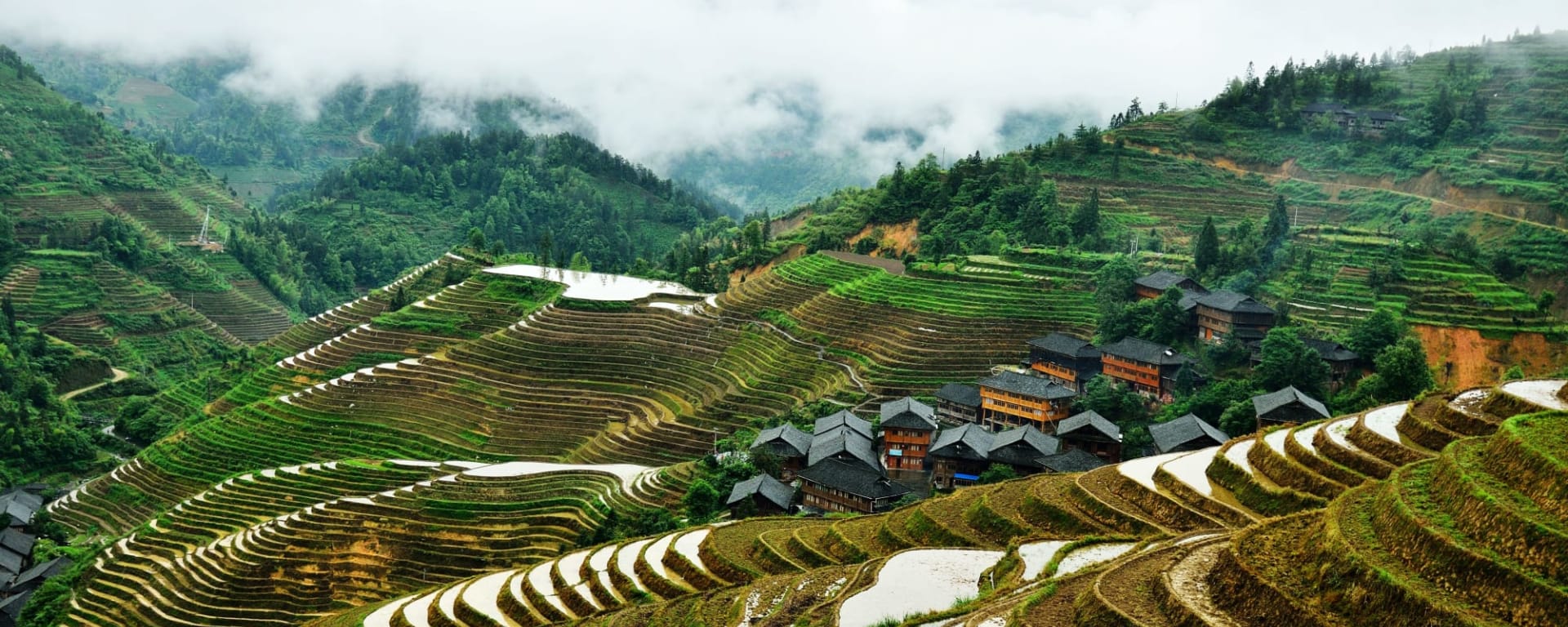 Reise zur Avatar-Märchenlandschaft ab Shanghai: China Guilin Reisterrassen