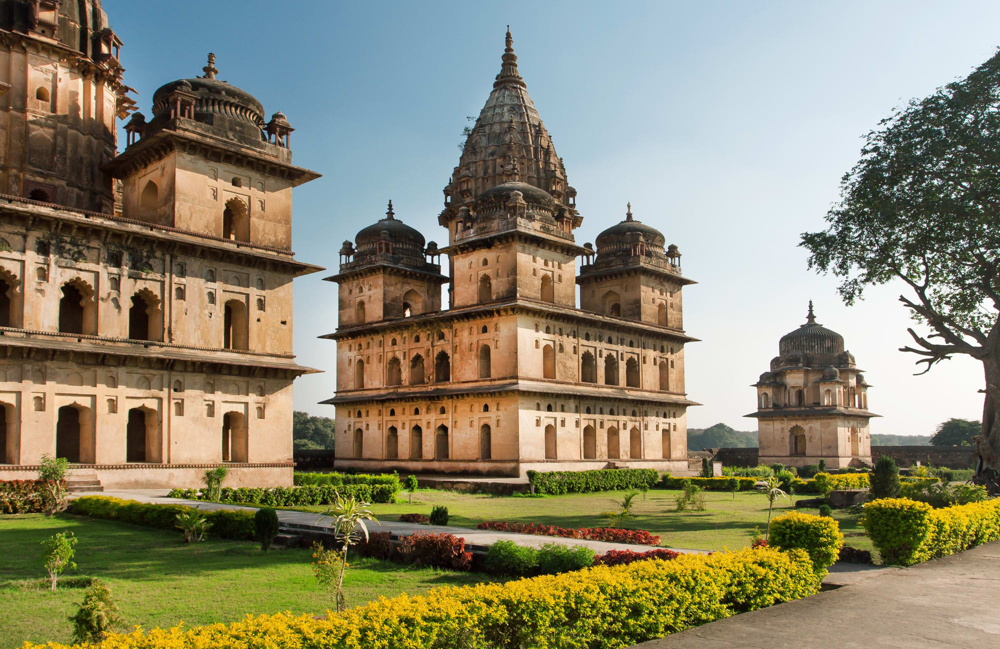 Architektur & Geschichte Zentralindiens ab Delhi: Indien Orchha Denkmal