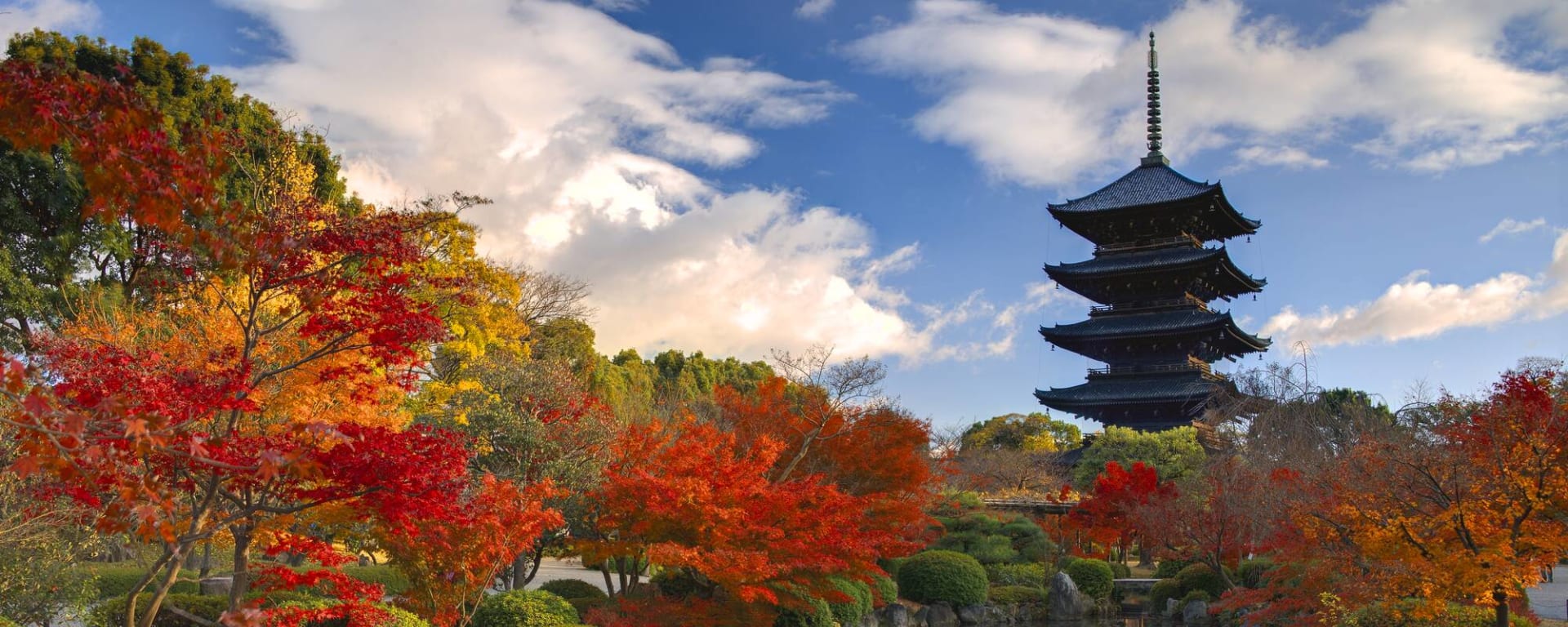 Kulturelles China & Japan ab Xian: Japan Nara Tempel