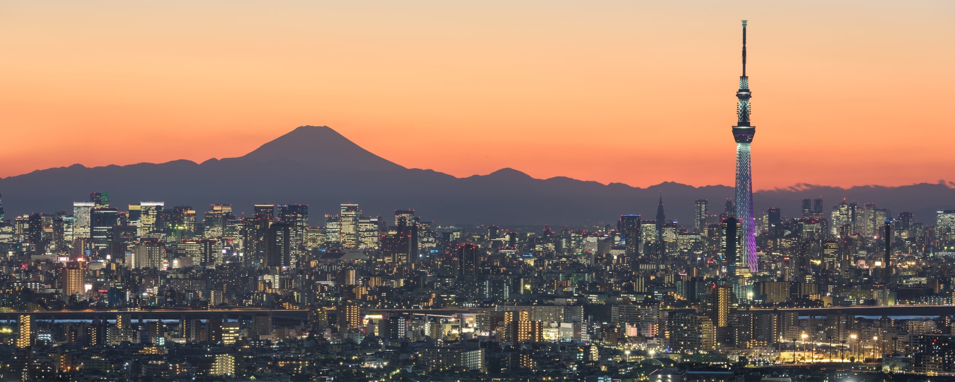 Kulturelles China & Japan ab Xian: Japan Tokio Stadtansicht mit Skytree