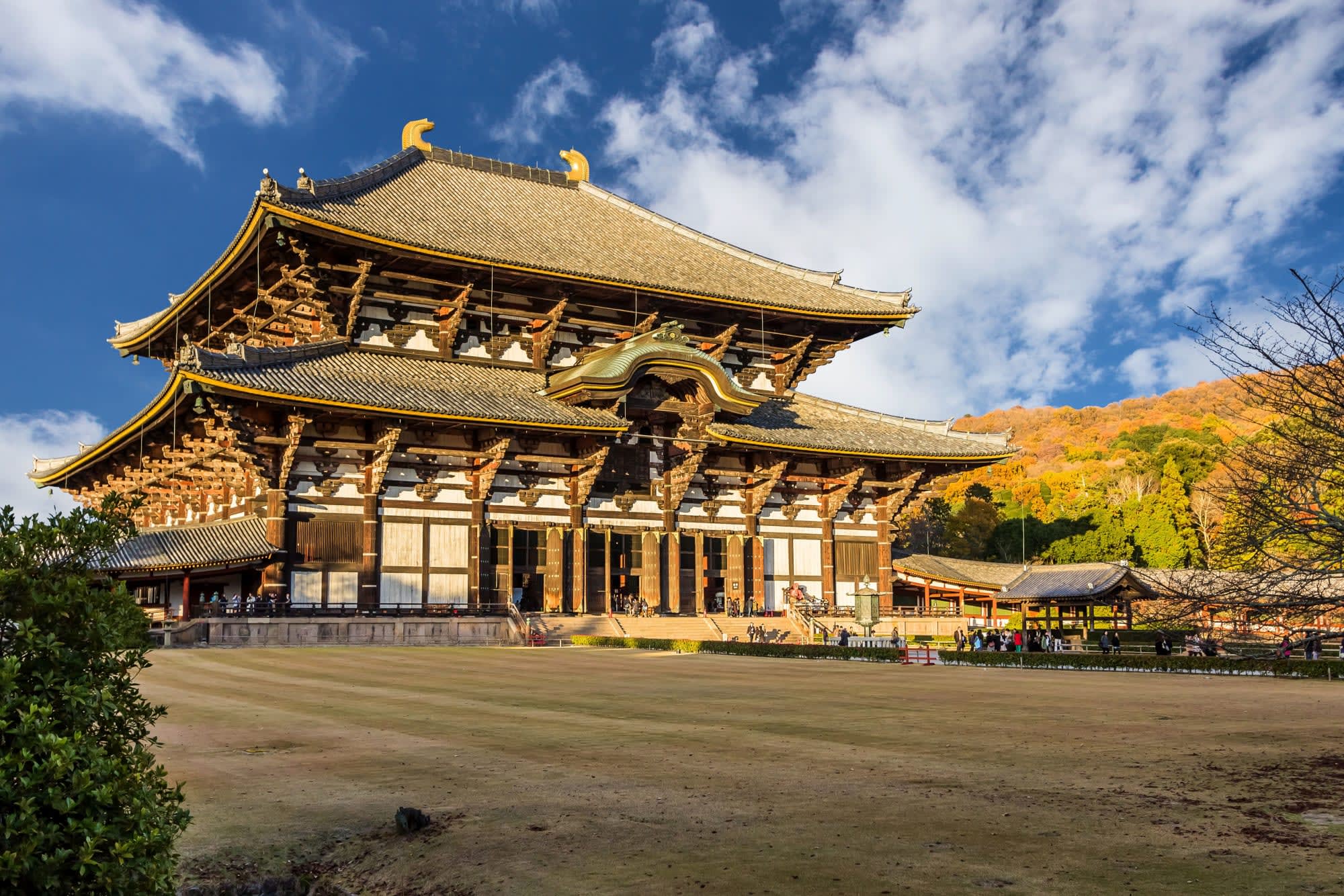 Kulturelles China & Japan ab Xian: Japan Nara Todaiji Tempel