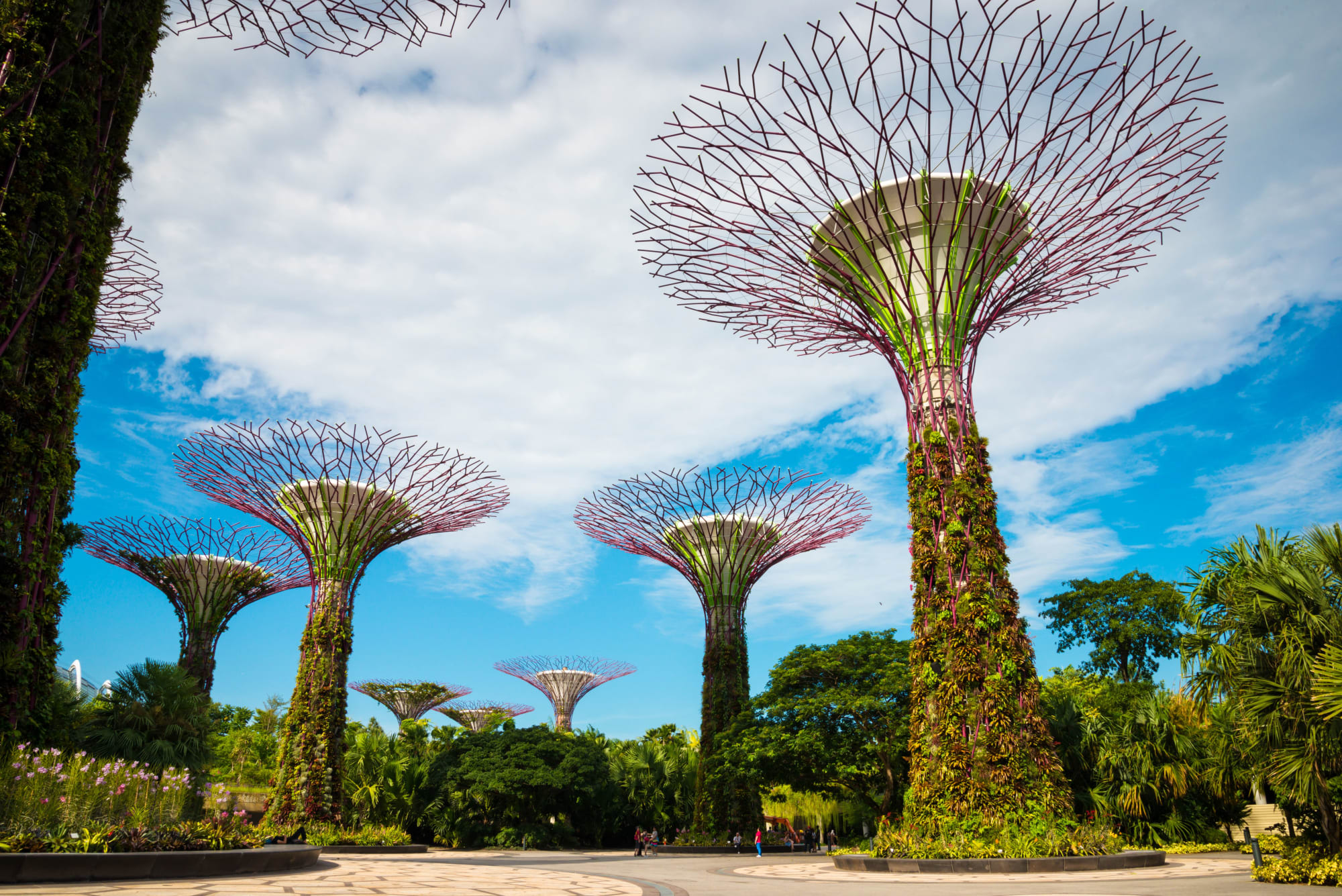Formel 1 Grand Prix Singapur, EN: Singapur Garden by the bay